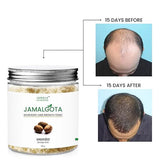 Jamalgota Hair Growth Powder - Buy 1 Get 1 FREE 😇 Pack of 2